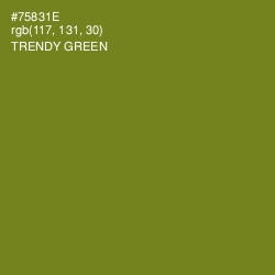 #75831E - Trendy Green Color Image